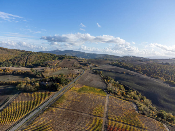 Vista panoramica aerea sulle colline della Val d'Orcia vicino a Pienza, Toscana, Italia. Paesaggio toscano con cipressi, vigneti, boschi e campi arati in autunno nuvoloso. - Foto, immagini