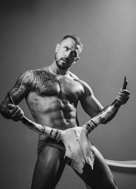 Sexy man with erotic masculine, body six pack hold bull horns. - Foto, Imagen