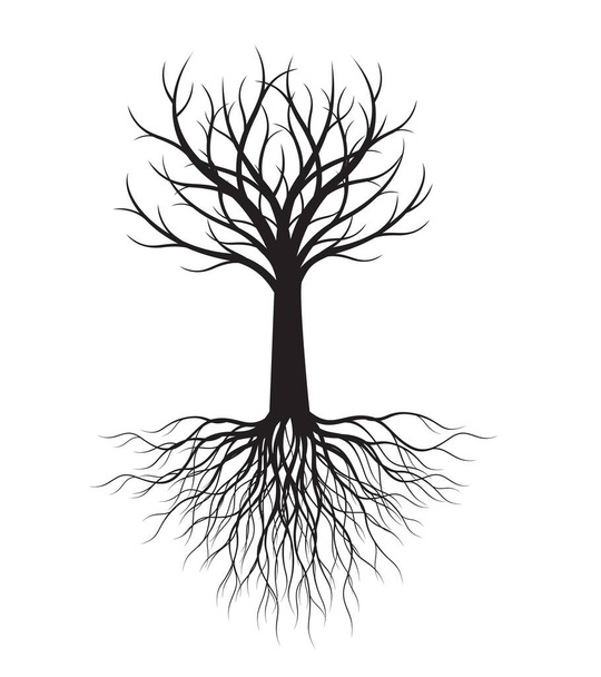 Shape of Tree with Roots. Vector outline Illustration. Plant in Garden. - Вектор,изображение