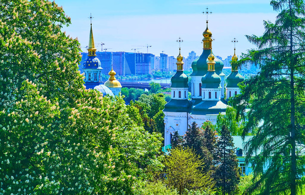 The churches of the medieval Vydubychi Monastery through the lush green trees of Kyiv Botanical Garden, Ukraine - Foto, afbeelding