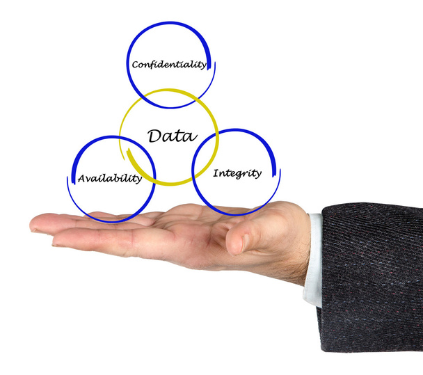 Principles of data management - Photo, Image
