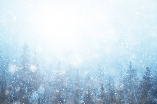 winter background snowfall trees abstract blurred white - Zdjęcie, obraz