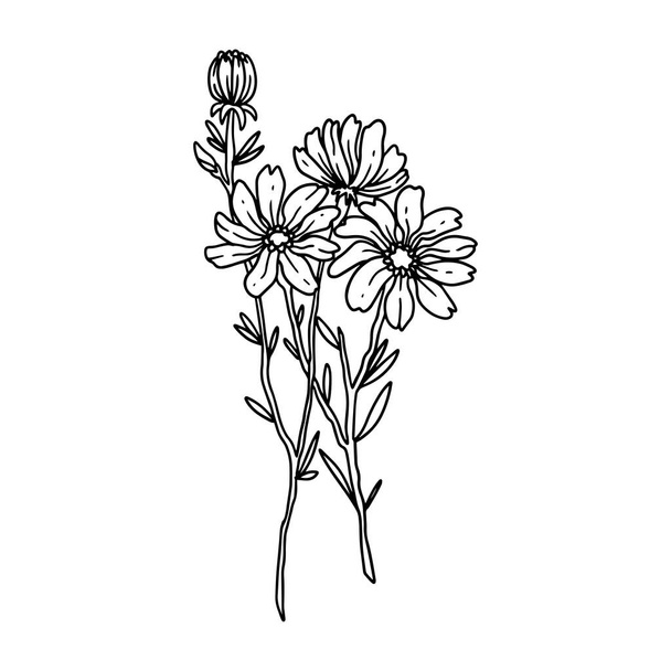 ένα όμορφο λουλούδι απεικονίζεται σε περίγραμμα στυλ. λουλούδι ζωγραφισμένα στο χέρι συλλογή εικονογράφηση για floral σχεδιασμό. διακόσμηση στοιχείων για πρόσκληση γάμου, ευχετήρια κάρτα, τατουάζ, κ.λπ.. - Διάνυσμα, εικόνα