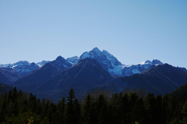 hora les modrá obloha slunečný den příroda park vrchol - Fotografie, Obrázek