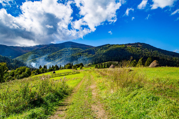 Tepedeki kır yolu çimen ve çiçeklerle arka planda yeşil dağlar mavi gökyüzü ve bir yaz günü bulutlar.  - Fotoğraf, Görsel