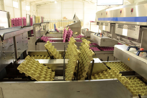   Egg cartons on the production line - Foto, immagini