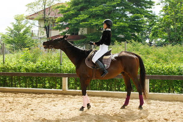 Joven mujer asiática de 20 años en traje de montar a caballo con hermoso animal al aire libre. Caballo fuerte inteligente alto del paseo femenino en la práctica estable y del aprendizaje del tren sobre la longitud completa del fondo verde - Foto, Imagen