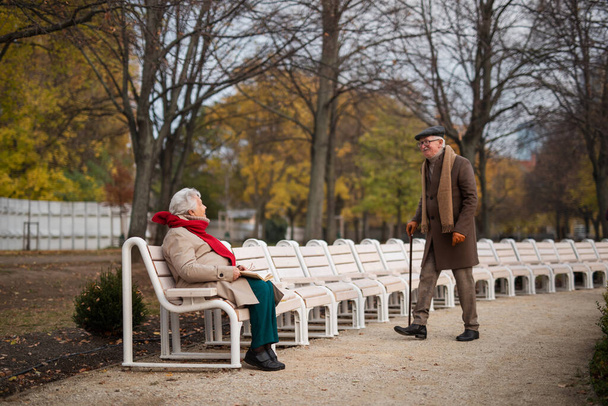 Happy senior couple meeting outdoors in park on autumn day. - Photo, Image