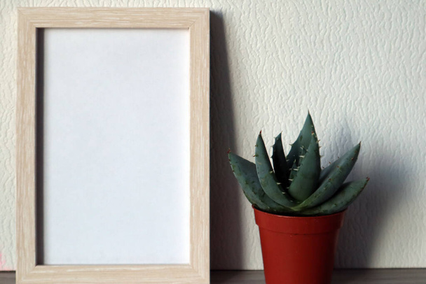 Mock up white frame with brown flower pot with succulent on white background. Space for text. - Fotografie, Obrázek