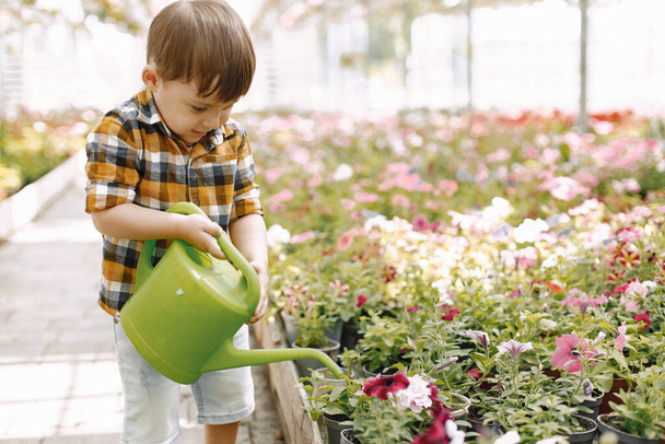 Little toddler boy watering flowers in a greengarden - 写真・画像