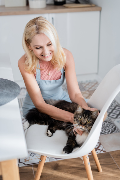 Positive woman in apron petting cat on chair at home  - Photo, image