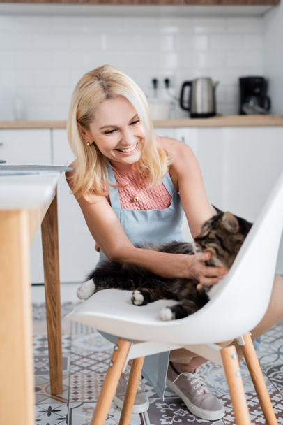Smiling woman in apron petting cat in kitchen  - Zdjęcie, obraz