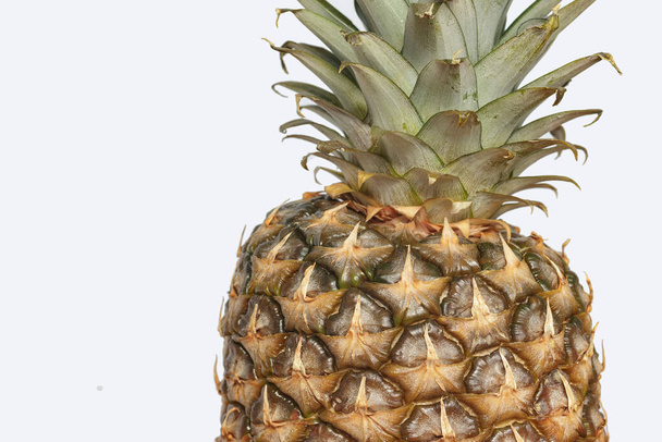 pineapple fruit, close-up on a white background. - Foto, afbeelding