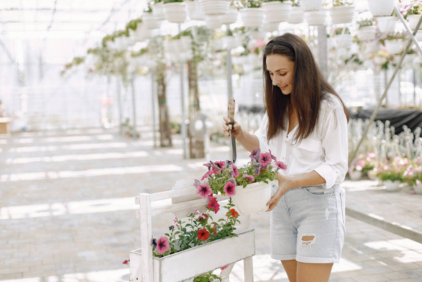 Side view of female gardener inspecting potted flowers in greenhouse - Photo, image