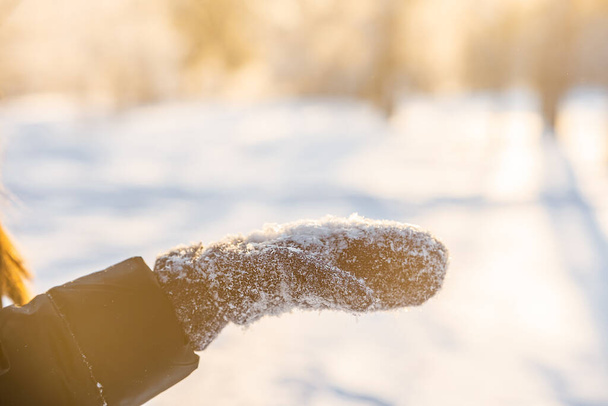 Kış ormanlarında kar tanelerini yumuşak ışık ışınlarıyla yakalamak için karla kaplı eldivenler. - Fotoğraf, Görsel