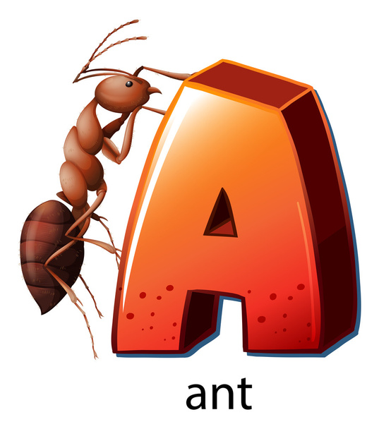 A letter A for ant - Vector, Image