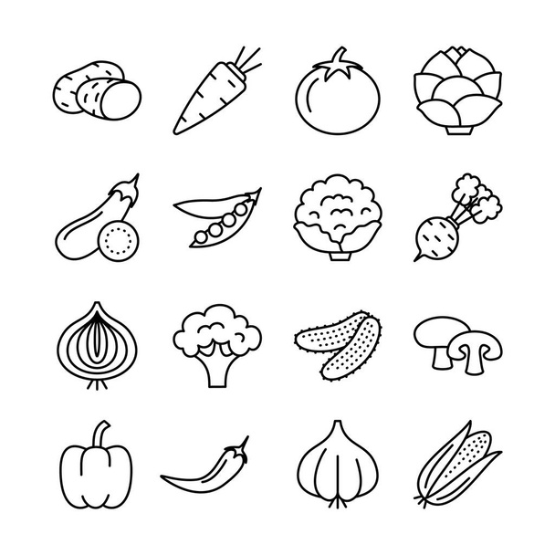 Vegetable Sign Black Thin Line Icon Set. Vector - Vector, Image
