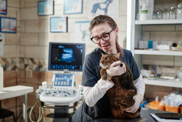 Médico veterinario que se preocupa por la mascota - Foto, Imagen