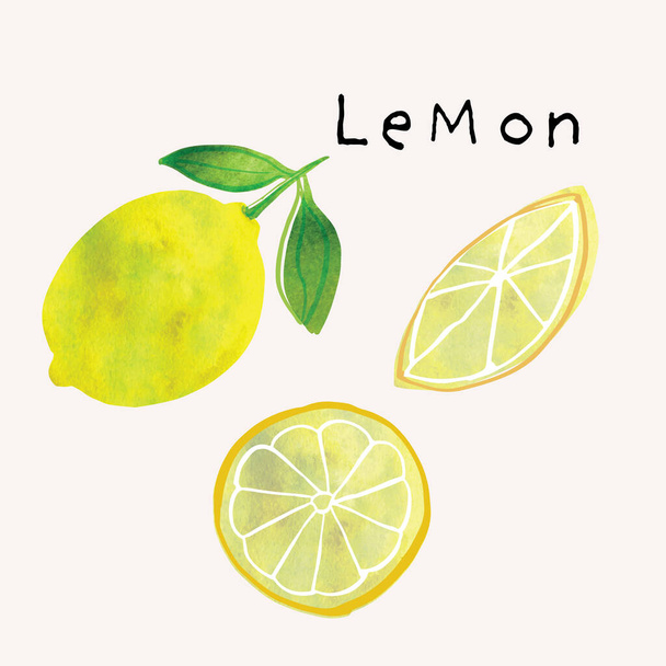 Set illustrazione acquerello frutta limone. Pittoresco acquerello texture e inchiostro elementi di disegno. Disegnato a mano e dipinto a mano - Vettoriali, immagini