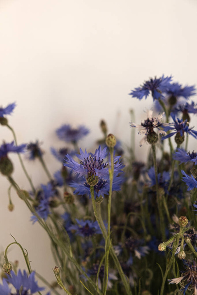 白い背景に青い花を咲かせます。花構成 - 写真・画像
