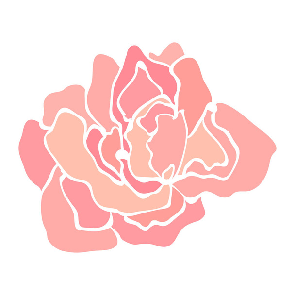 Rose Flower Illustration - Vector, Image