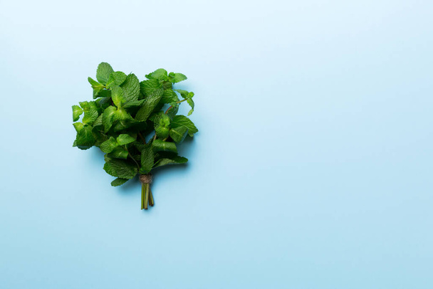 Mint leaf. Fresh mint on Colored background. Mint leaves isolated Top view with copy space. - Photo, Image