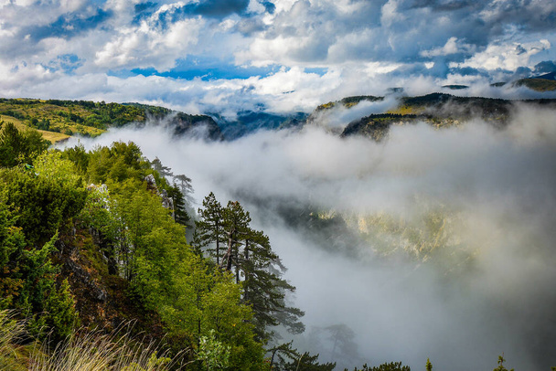 Глубокий каньон реки Тары в Черногории, на Балканах. Самый глубокий каньон в Европе. - Фото, изображение