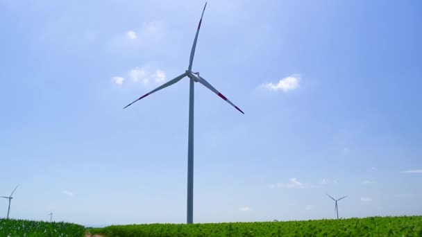 Mulino a vento o turbina eolica da vicino sul campo di girasoli verdi e sfondo cielo blu. Giornata estiva di sole. Paesaggio agricolo. - Filmati, video