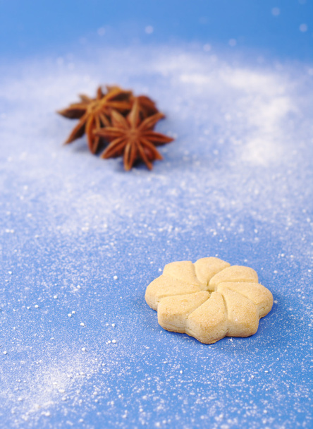 Печиво з зірка Anis на блакитному - Фото, зображення