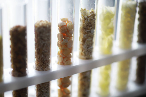 Test tubes with seeds of selection plants. Research Analyzing Agricultural Grains And seeds In The Laborator - Foto, immagini