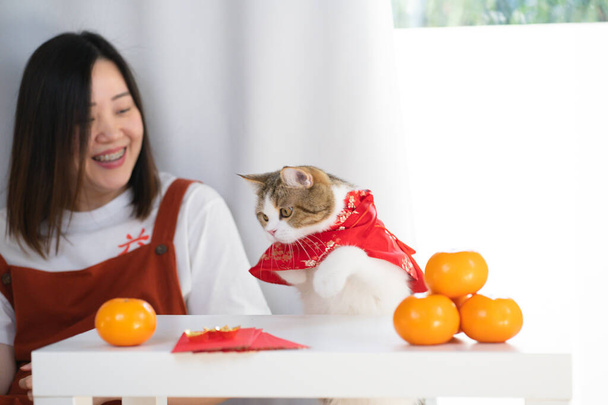 concepto de año nuevo chino con mujer asiática jugar con gato usando rojo chino tradicional tela con sobre rojo naranja y oro en la mesa - Foto, Imagen