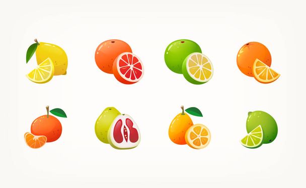 Coleção de ícones coloridos de citrinos. Fruta inteira com uma fatia. Produtos biológicos comuns nos mercados de Inverno. Imagens vetoriais isoladas.   - Vetor, Imagem