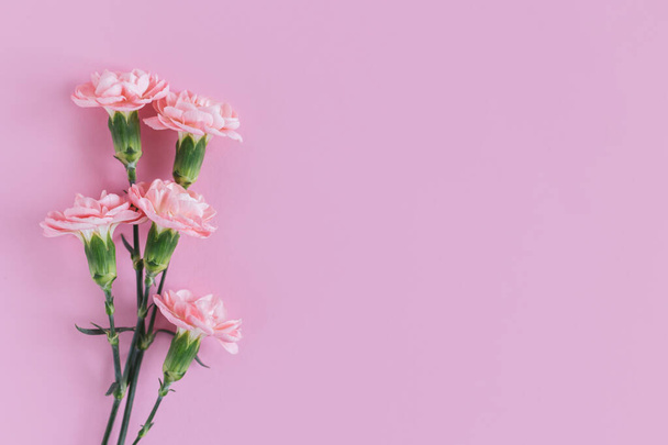淡いカーネーションの花をパステルピンクの背景に咲かせます。テキストの場所.  - 写真・画像