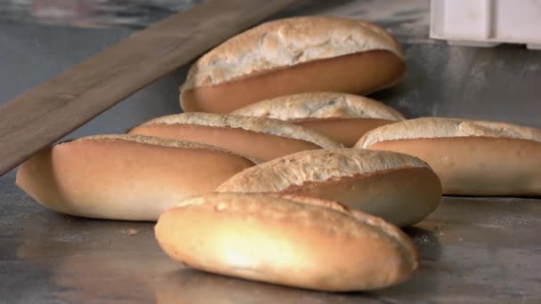 Panes de pan recién horneado en la bandeja para hornear en la panadería. - Imágenes, Vídeo