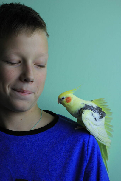 Çocuğun omzunda sarı papağan figürü var. Evcil hayvan sevgisi kavramı. Hayvan bakımı konsepti. - Fotoğraf, Görsel