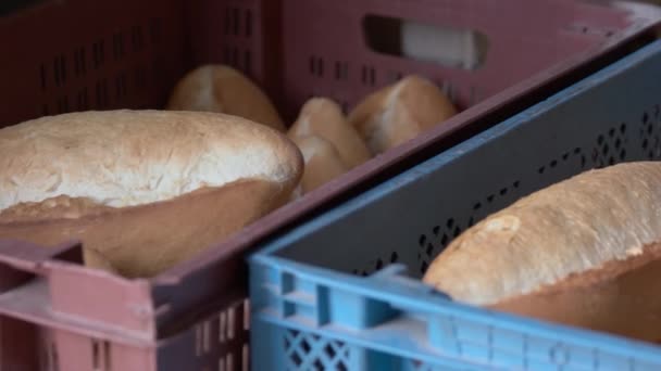 Sluiten van vers gebakken brood broden. Krokant brood in doos close-up. - Video
