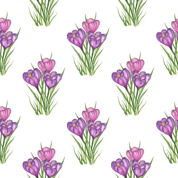 Seamless pattern with delicate purple, lilac crocuses in green grass on a white background. Spring flowers. Watercolor illustration. For textiles, postcards, gift wrapping. - Valokuva, kuva