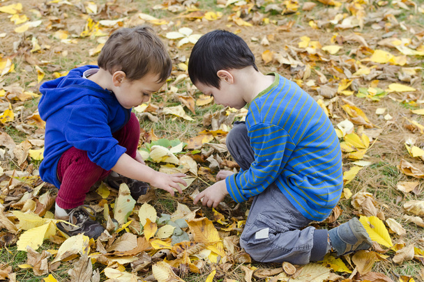 Niños en hojas de otoño
 - Foto, imagen