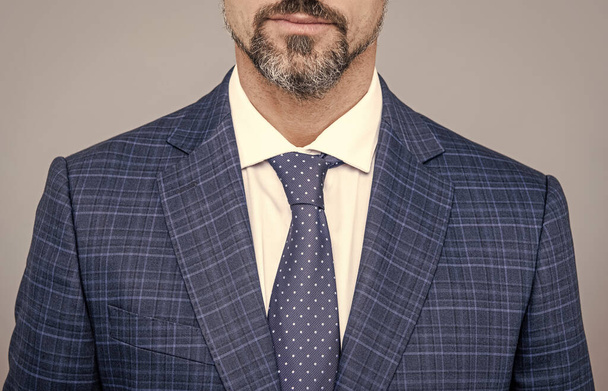 Senior lawyer cropped view wear formal suit with necktie grey background, menswear - Foto, imagen