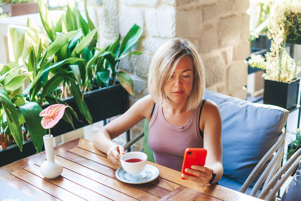 Relaxed woman holding and using smartphone for sms messages, typing touchscreen cell phone in the sunny cafe. Lifestyle, technology and Social media network concept. - Foto, afbeelding