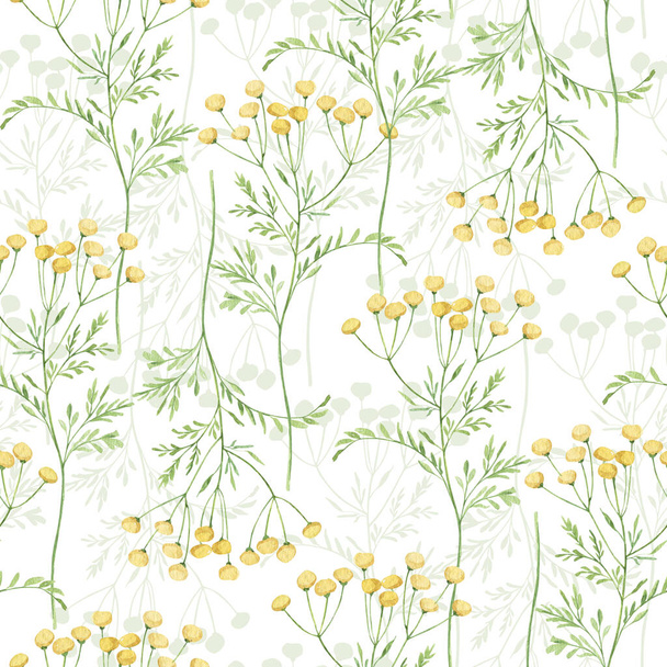 Watercolor botanical seamless pattern Delicate meadow wildflowers. Hand drawn tansy Floral print. For birthday card, invitation, happy easter, mother day, linen, wrapping paper, wallpaper, textile. - Photo, image