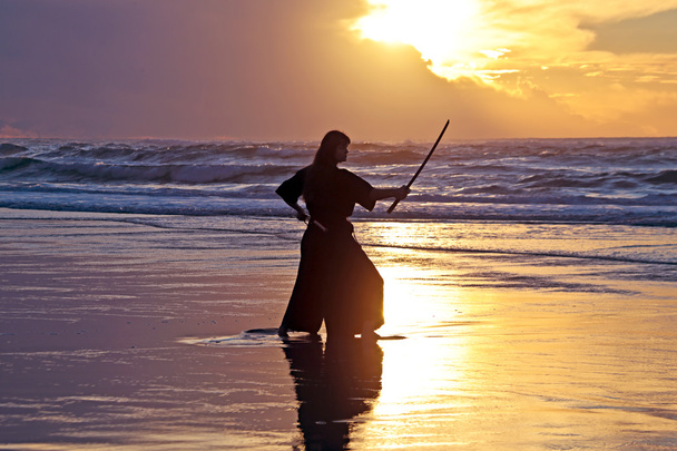 Samurai mujeres con espada japonesa
 - Foto, imagen