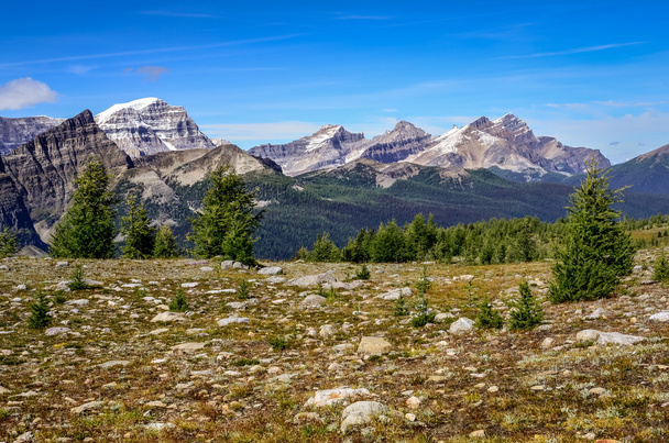 Scenic view of mountains in Banff national park, Alberta, Canada - Photo, Image