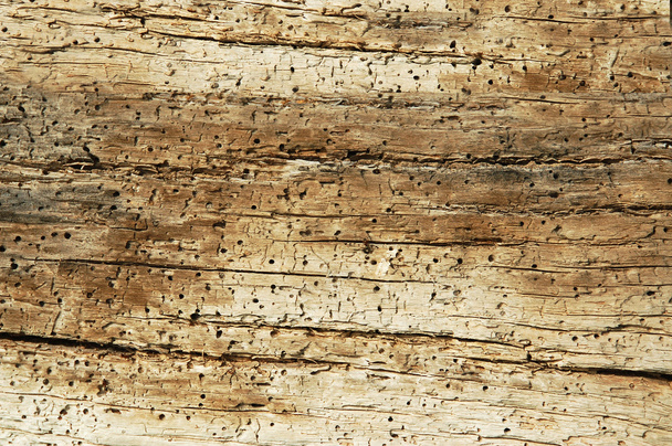 Wooden texture - Foto, Imagen