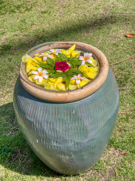 arranjo pétala florida e folhas na superfície do vaso de argila vintage - Foto, Imagem
