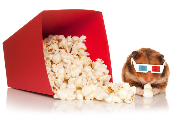 hamster in 3d bril kauwen popcorn. - Foto, afbeelding
