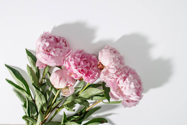 Red, pink peonies in a white vase on a table against a white wall background. Copy space - Фото, изображение