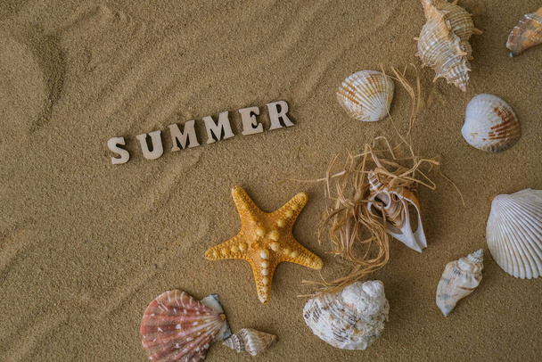 Composition with text SUMMER seashells, pebbles, mockup on sand background. Blank, top view, still life, flat lay. Sea vacation travel concept tourism and resorts. Summer holidays - Fotoğraf, Görsel
