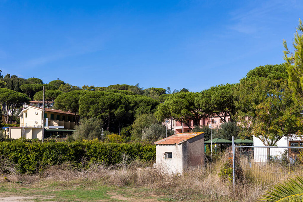 İtalya 'nın Elba adasında, küçük bir sahil kasabası olan Procchio' da, şemsiyeli çamların altında harap olmuş evler parlak mavi bir yaz gökyüzünün altında. - Fotoğraf, Görsel
