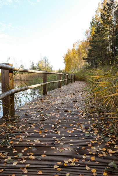 Krásná pěší stezka poblíž krásného kalálního rybníka v podzimním počasí. Fotografie pořízena za krásného, slunečného, zataženého podzimního dne. - Fotografie, Obrázek